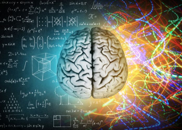 Harness the Brain's Learning Machinery for Growth