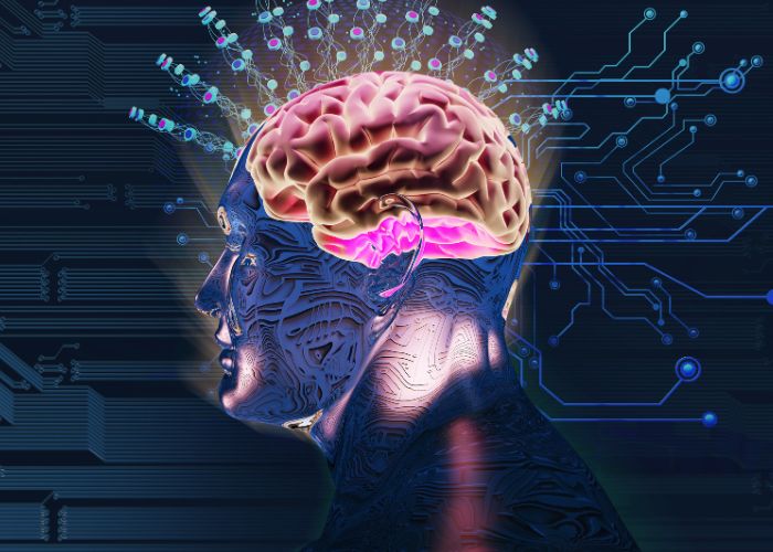Decode the Brain's Communication Engine