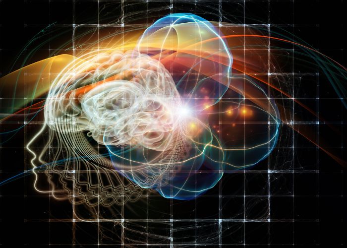 How Neuroscience Can Improve Our Everyday Life