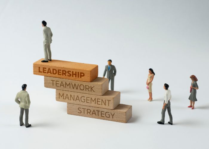 Leadership and Team Development