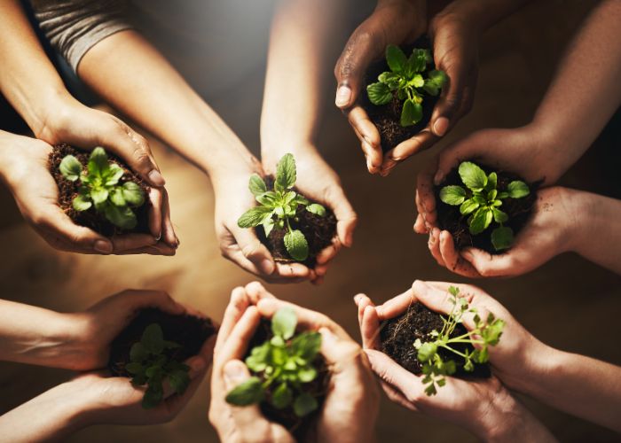 Sustainable Development