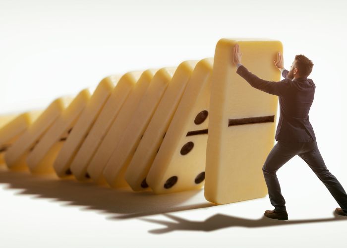 Organizational Crisis & Risk Management